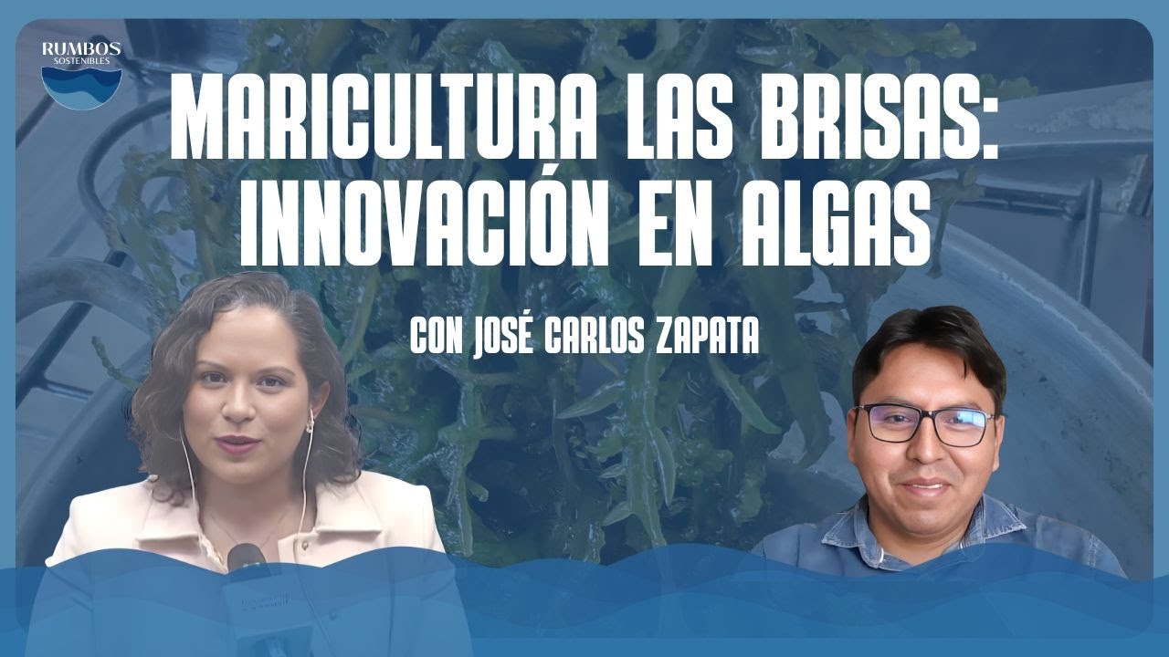 T4:E5 - Maricultura Las Brisas: Innovación en Algas