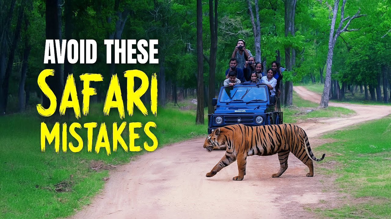 Ultimate Guide to Jungle Safaris in India: Bookings, Mistakes & Wildlife Secrets!