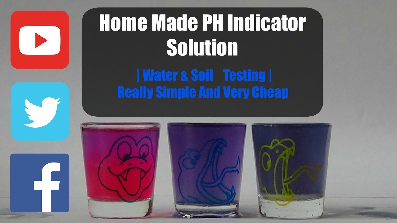 Home Made PH Indicator Solution | Water & Soil Testing | Simple & Cheap