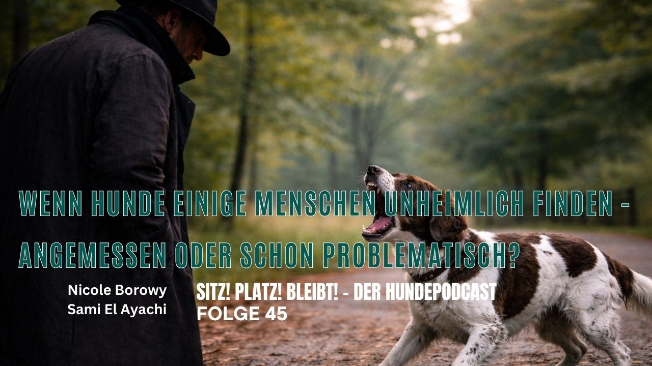 #45 Wenn Hunde Menschen skeptisch finden - angemessen oder schon problematisch?