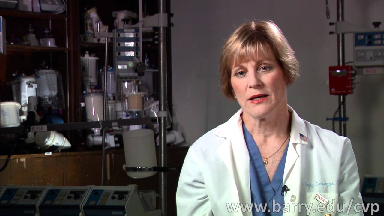 What is Cardiovascular Perfusion?