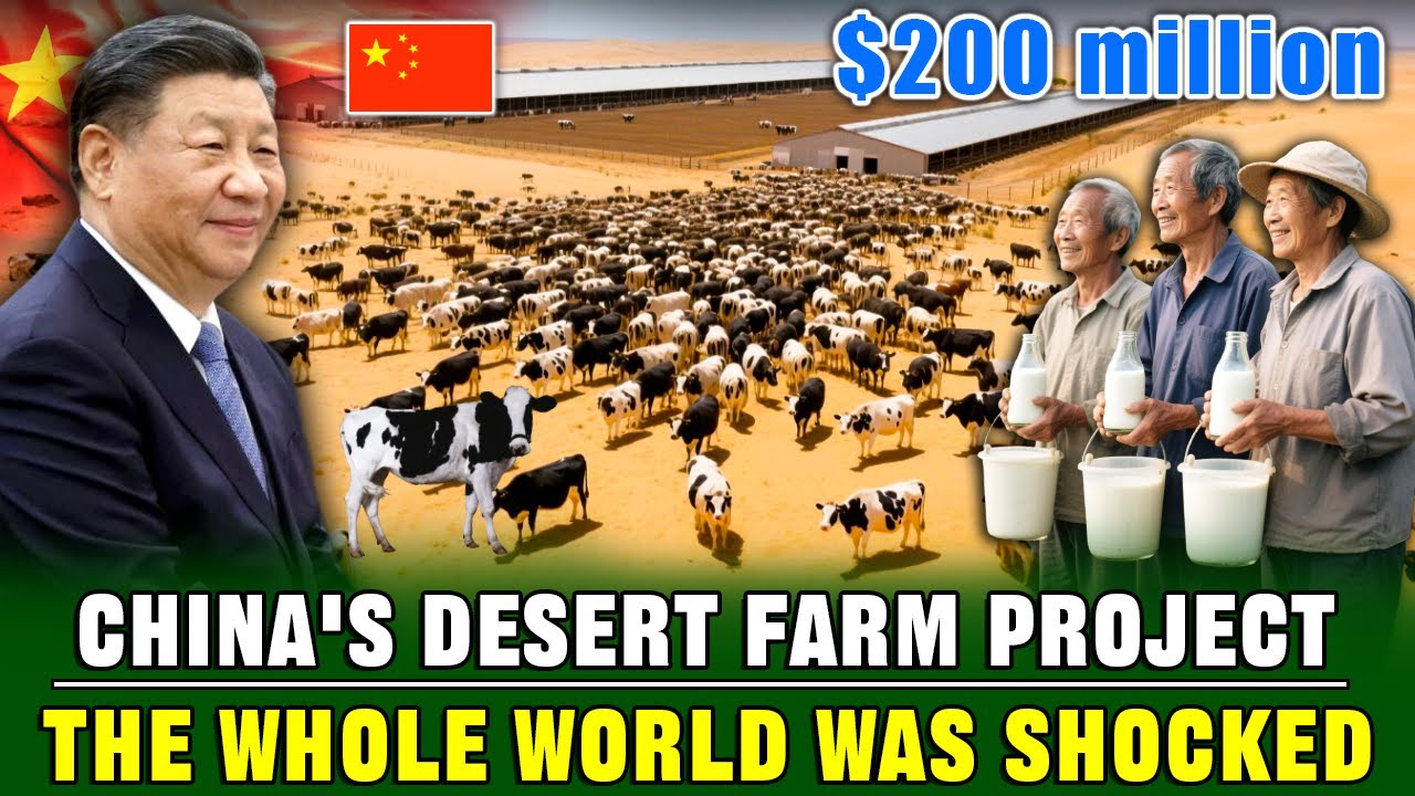 China Was Laughed At for Raising 8,000 Dairy Cows in the Desert, but Now Everyone Has Shut Up!
