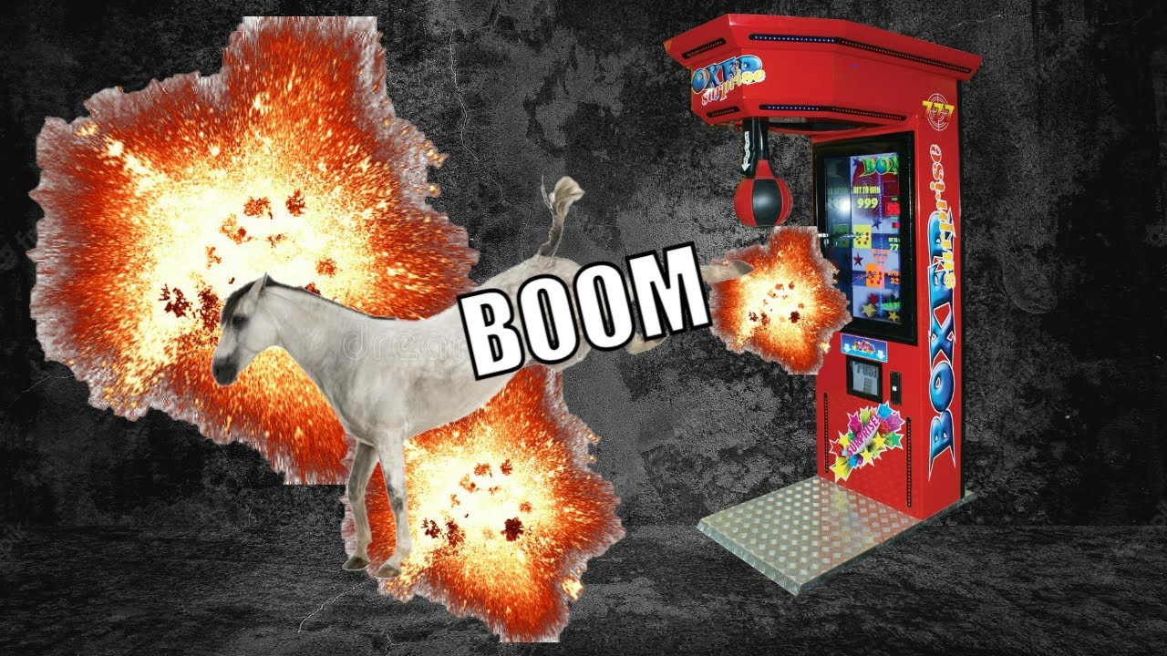 What Happens When Horse Meets PUNCH MACHINE?
