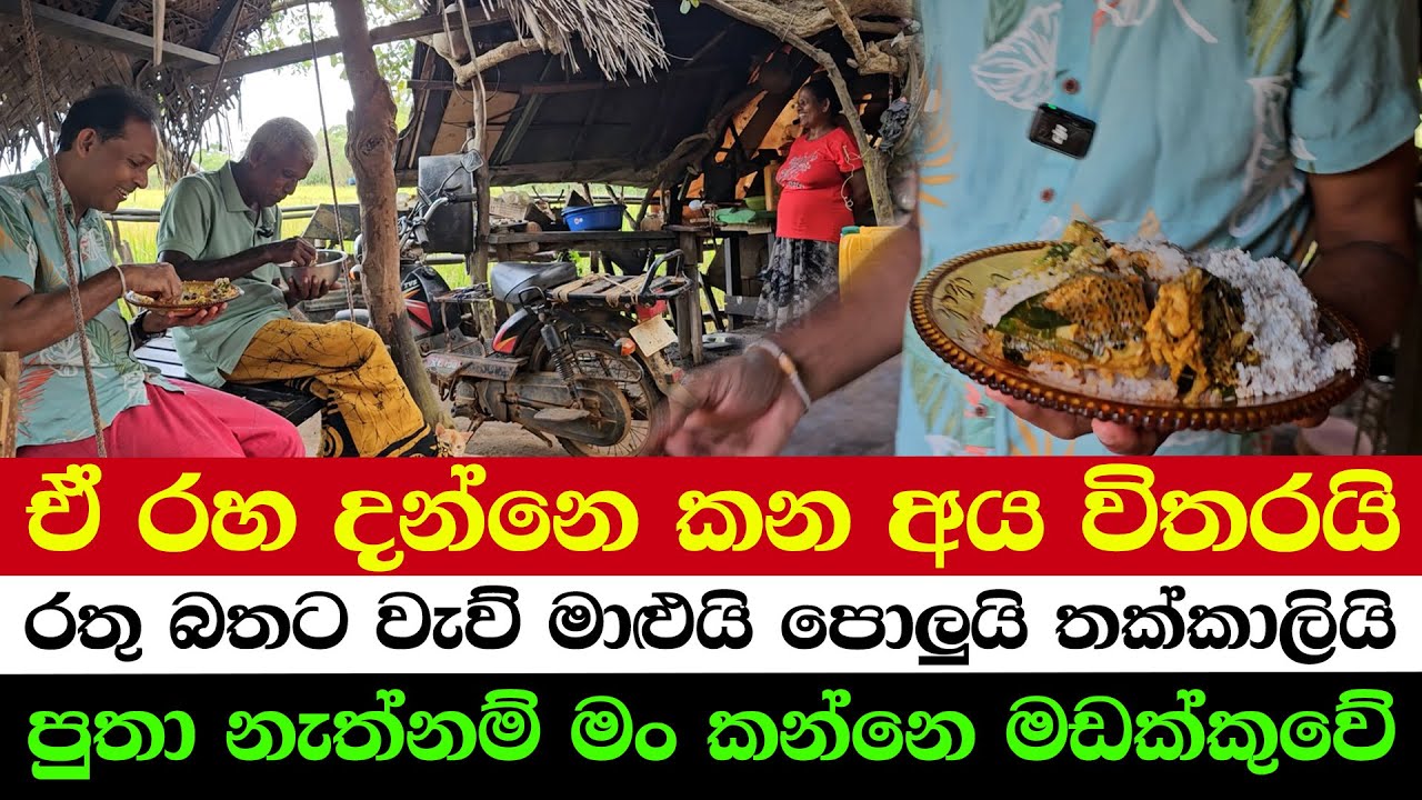 The Secret Flavor You’ll Never Forget | Ultimate Sri Lankan Combo: Red Rice, Fish, Coconut & Tomato