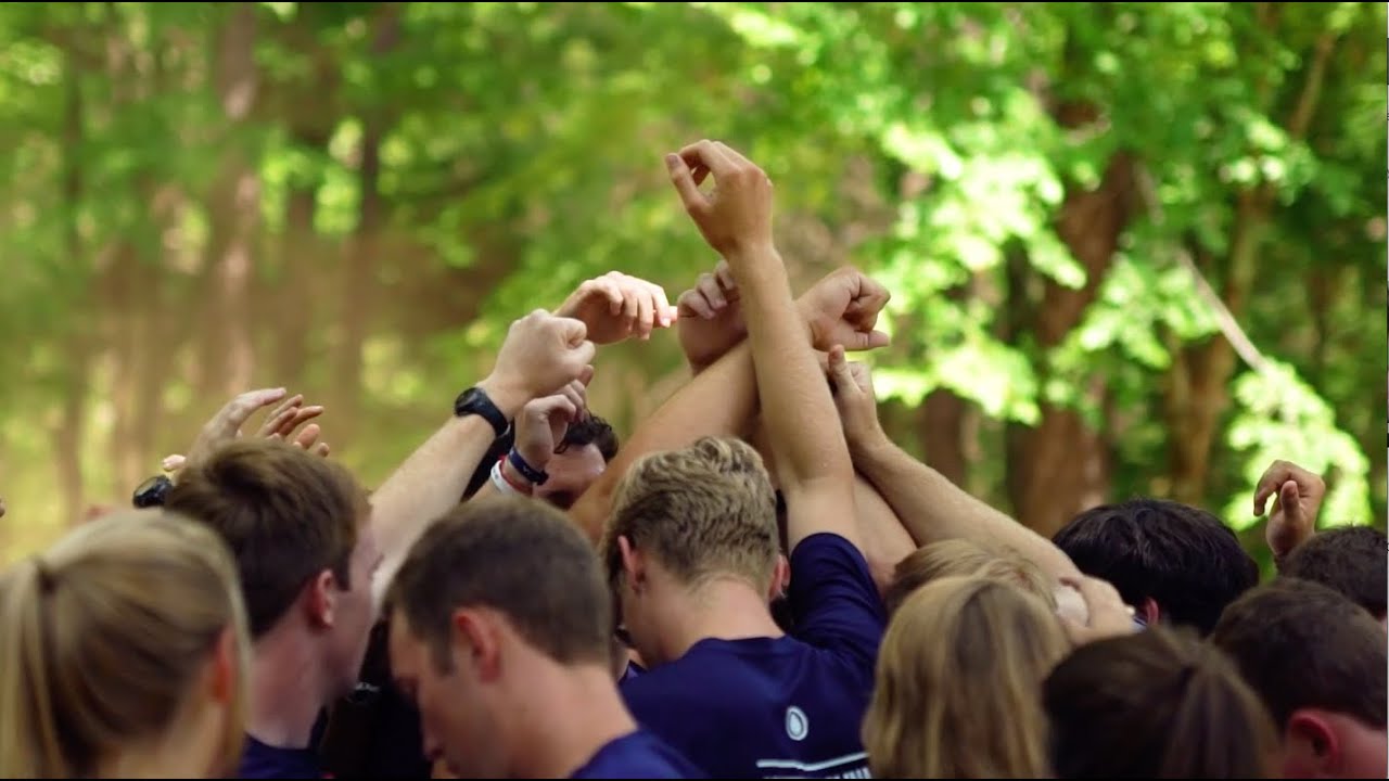 Pine Cove Vision