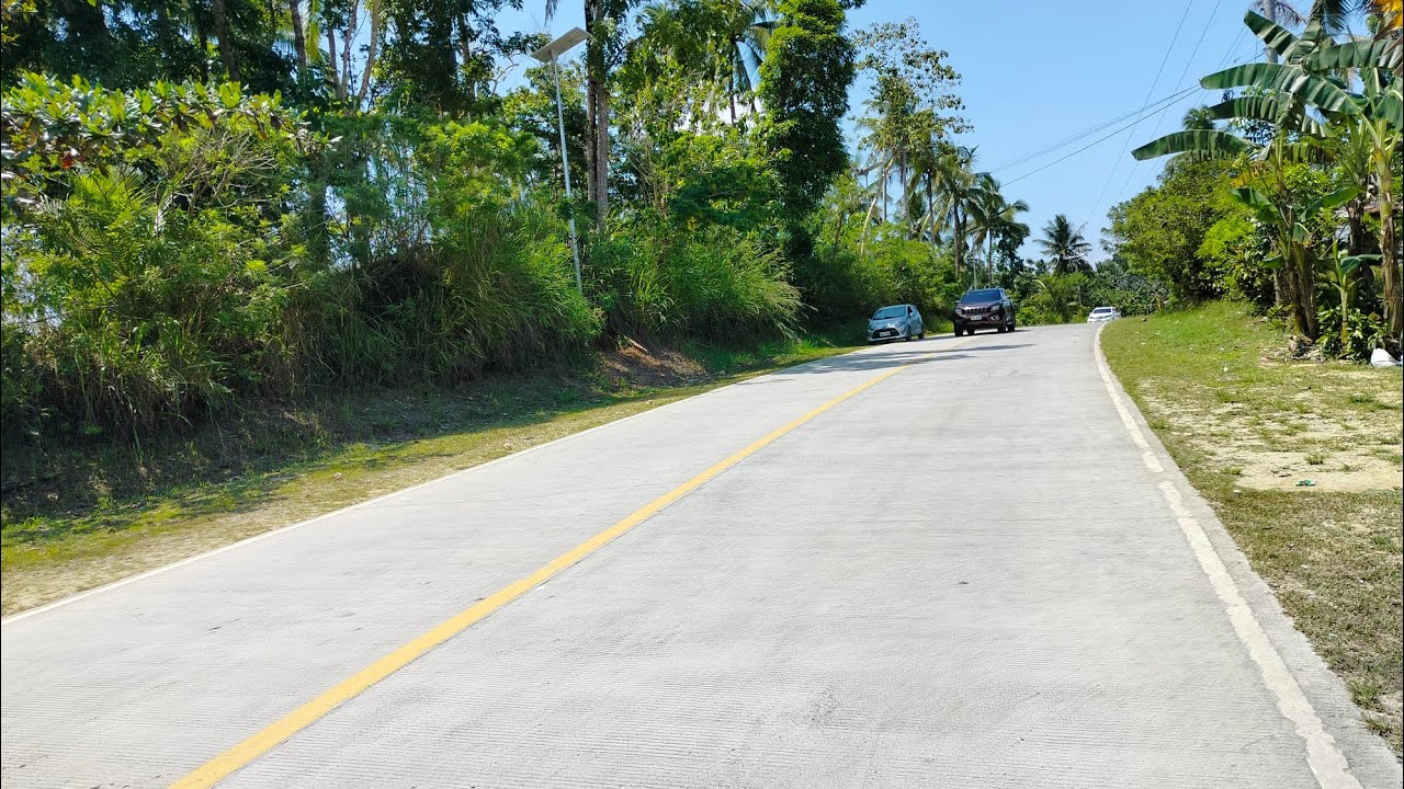 Lot for sale 7.9hectares clean title Tubigon Bohol Philippines