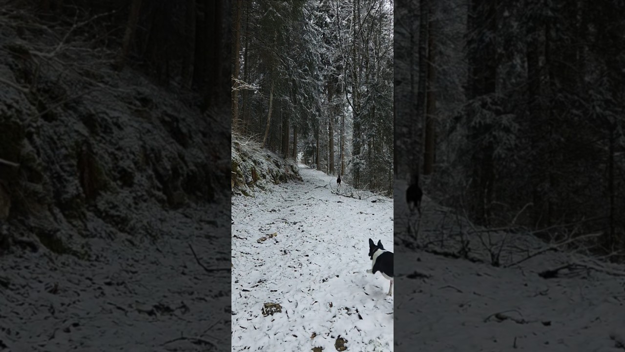 👉🥰  #jack #samy  ##joeblack67