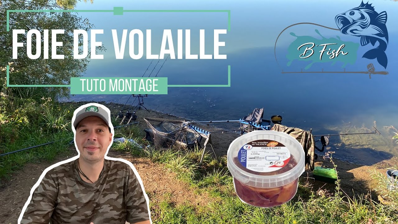 Techniques de pêche du silure au foie de volaille : Montage fond et flotteur