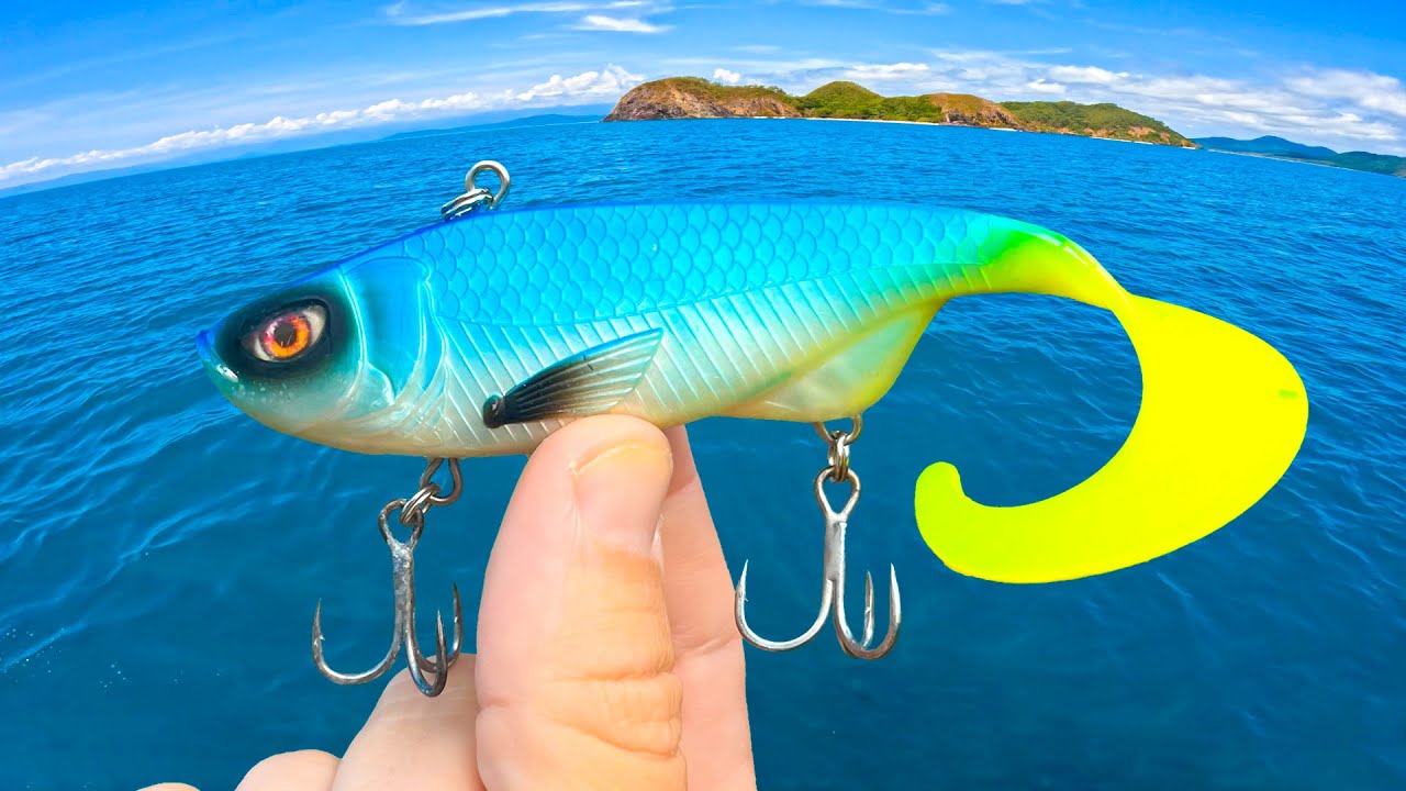 Jigging & Vibing LOADED Tropical Waters