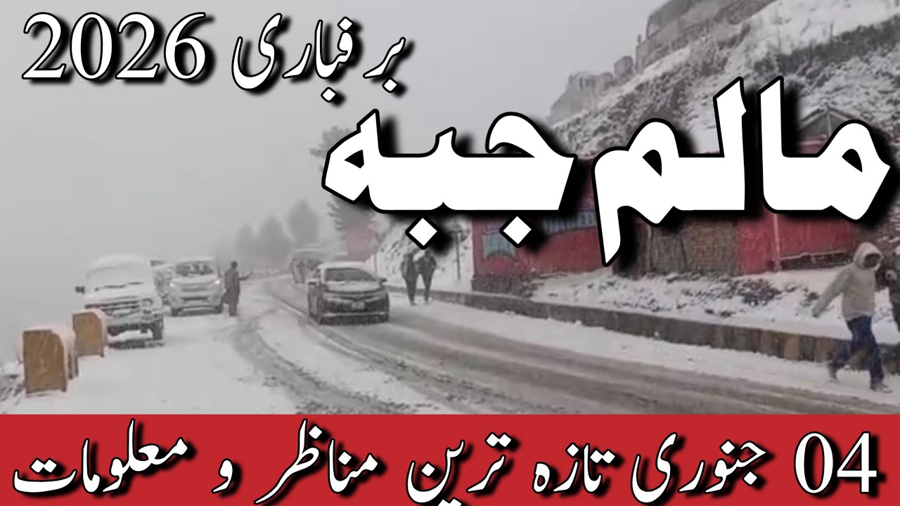 #swat Kalam live today | malamjaba snowfall today | #snow in malamjaba | malam jabba swat snowfall