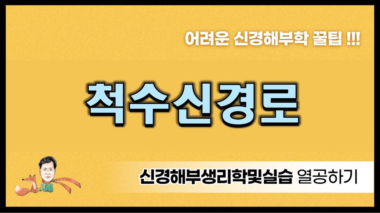 11. 척수신경로