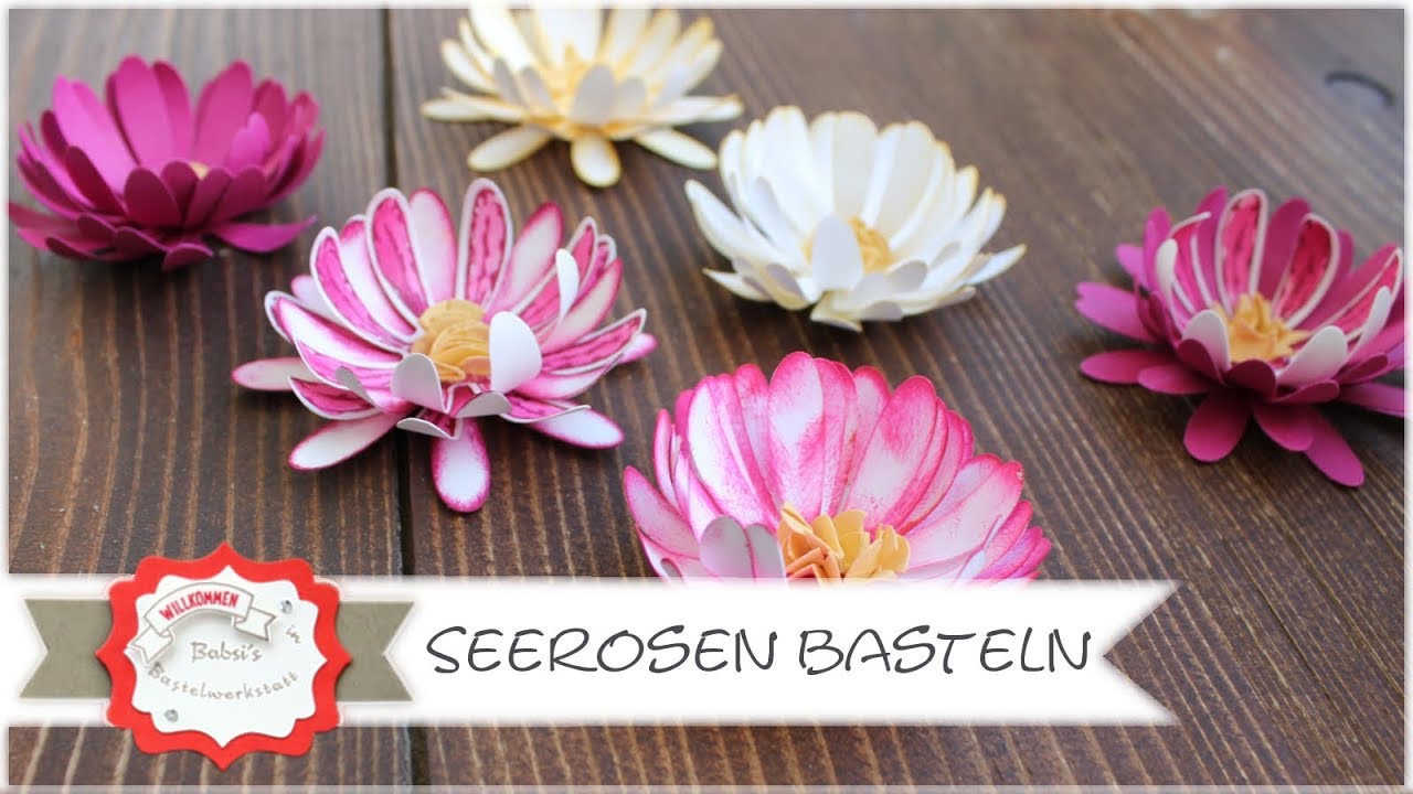 Seerosen basteln mit Gänseblümchenstanze - Stampin´Up! - Gänseblümchenstanze - Gänseblümchengruß
