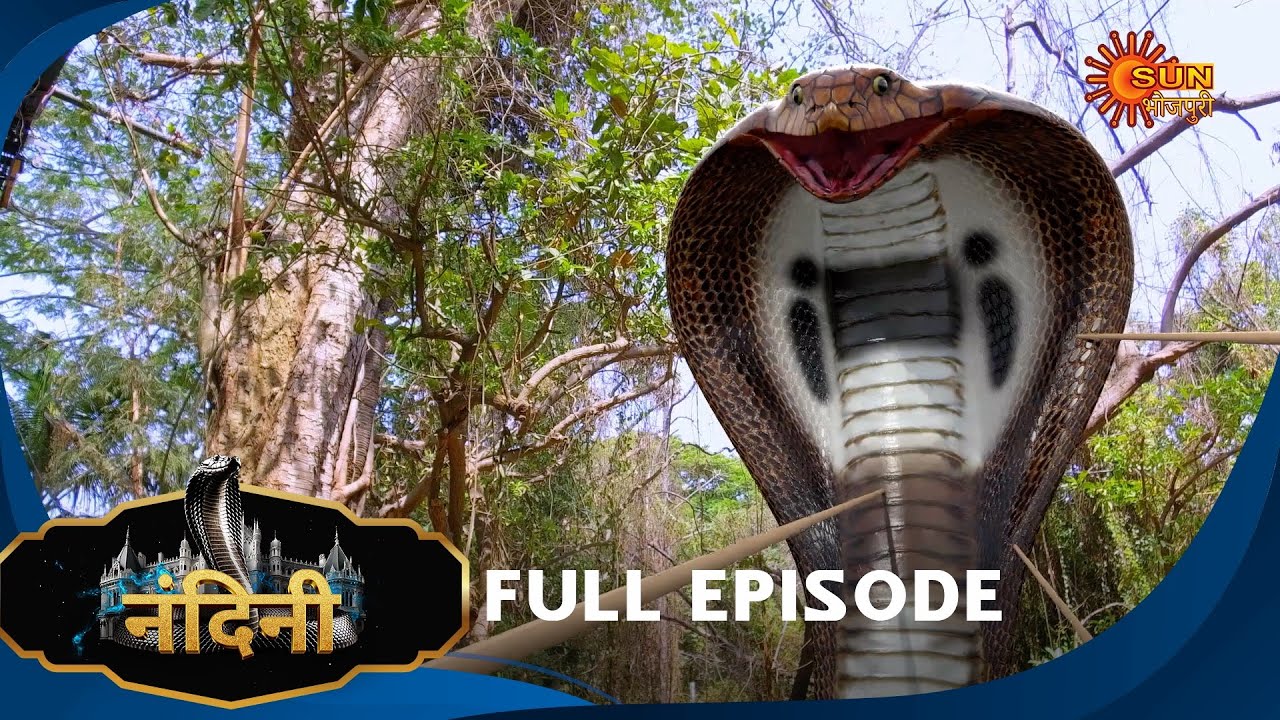 Nandini - Episode 378 | Bhojpuri Naagin show | Sun Bhojpuri | Bhojpuri Serial