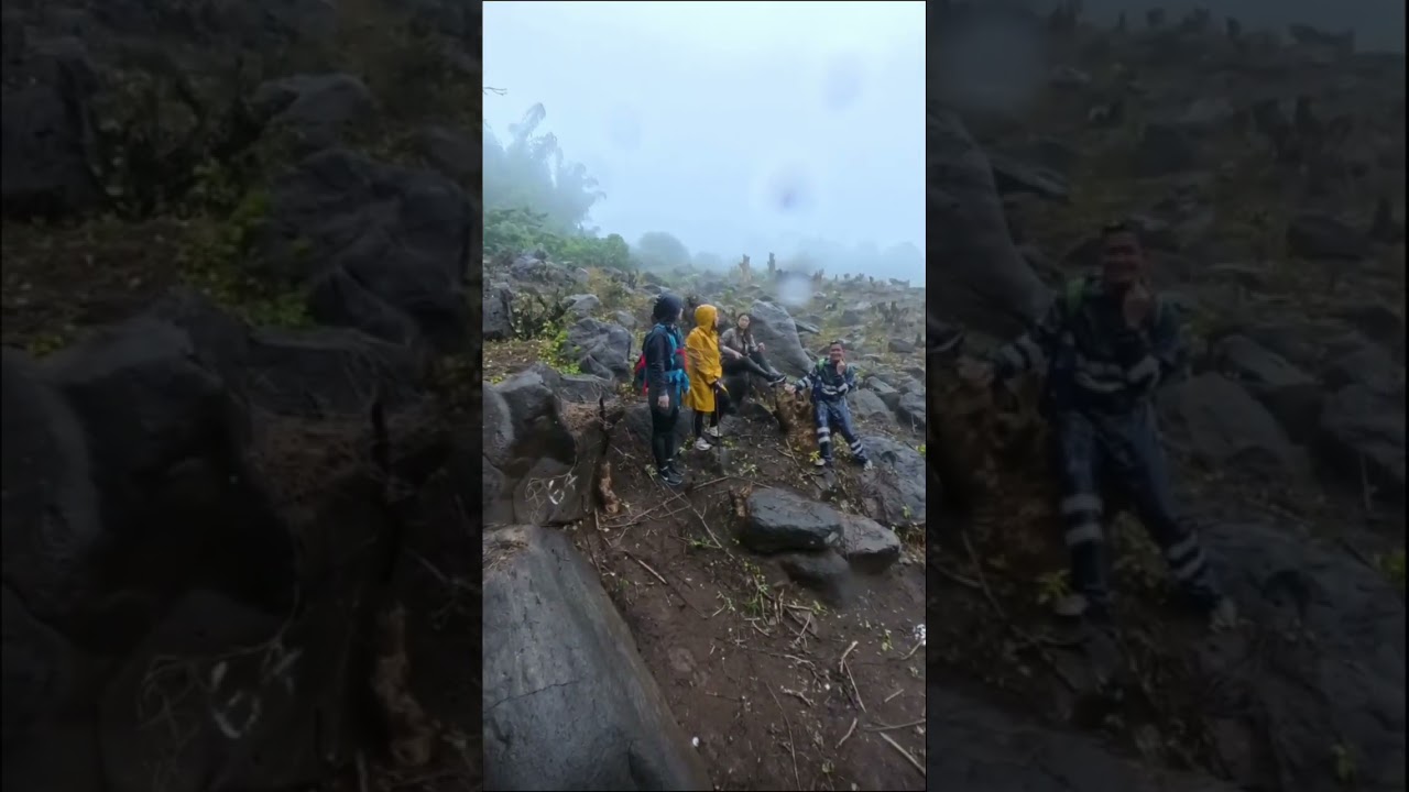 Trap #nature #badweather #typhoon #asmr