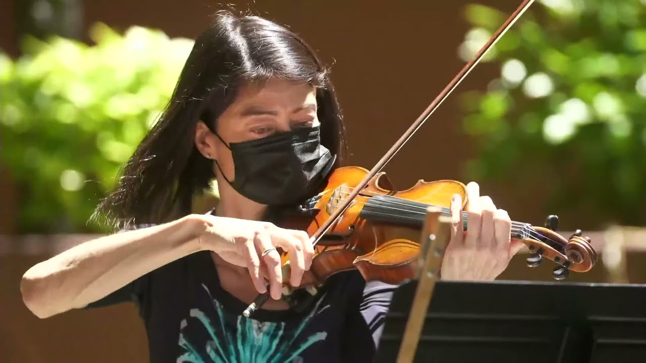 Love From Lincoln Center: Mostly Mozart Festival Orchestra Musicians Perform for Hospital Workers