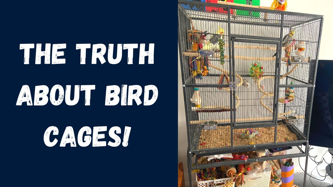 The Truth About Bird Cages 🦜 | Parrot Cage Myths Busted | TheParrotTeacher