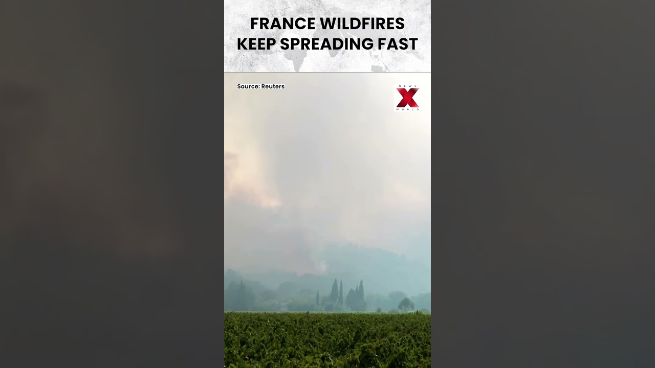 #watch | Smoke blankets southeastern France as relentless wildfires threaten communities #viral
