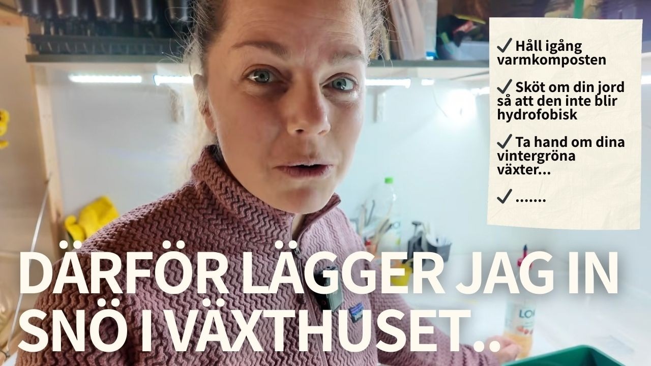 5 enkla saker att göra i trädgården nu i vinter för att preppa för en härligare vår 😍🌿🌷