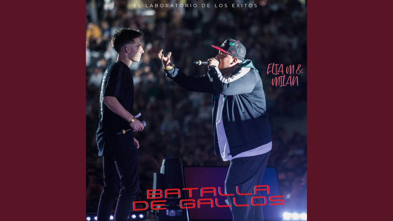BATALLA DE GALLOS
