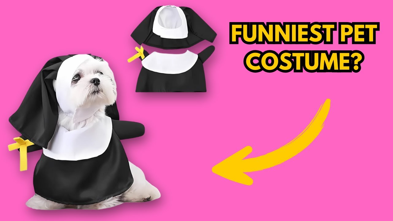 Hilarious Pet Costume Review! Is This the Funniest Outfit for Your Pet?