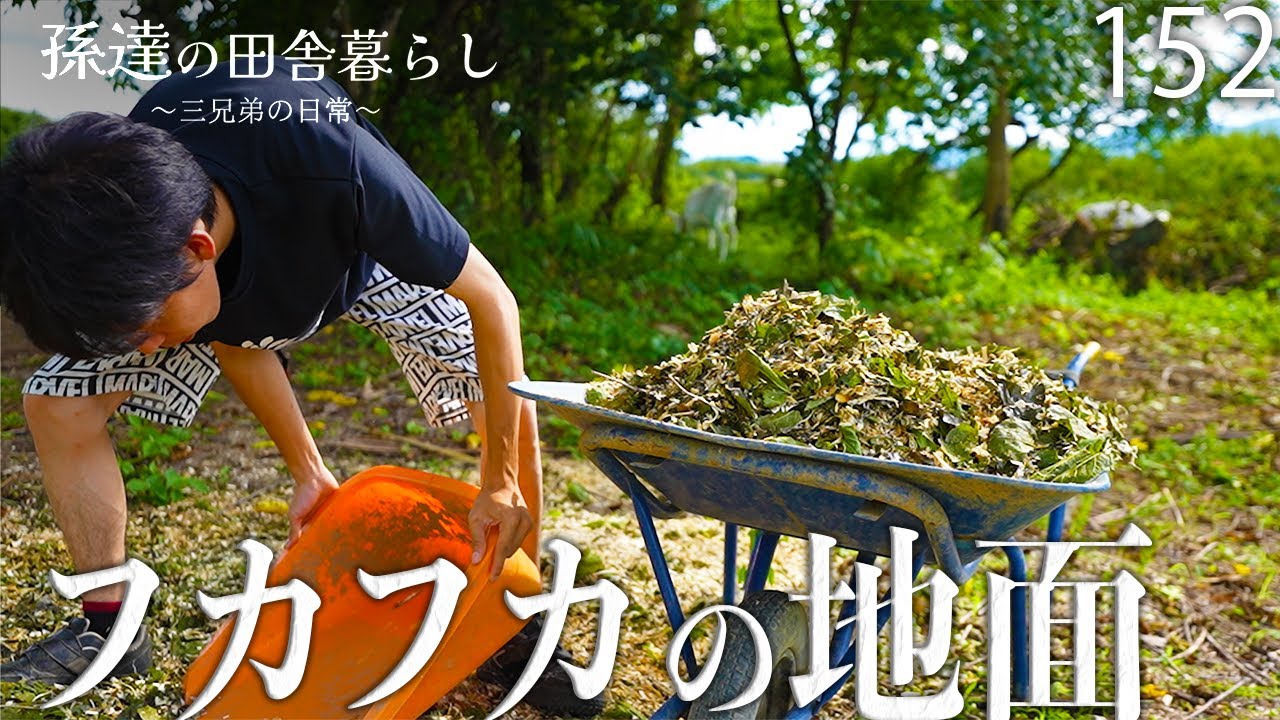 【汚れ対策】ヤギ小屋の地面にウッドチップを再投下！綺麗になった地面にヤギたち大興奮♪ #152