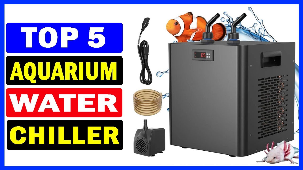 Top 5 Best Aquarium Water Chiller Of 2026 | Best Aquarium Chiller On Aliexpress