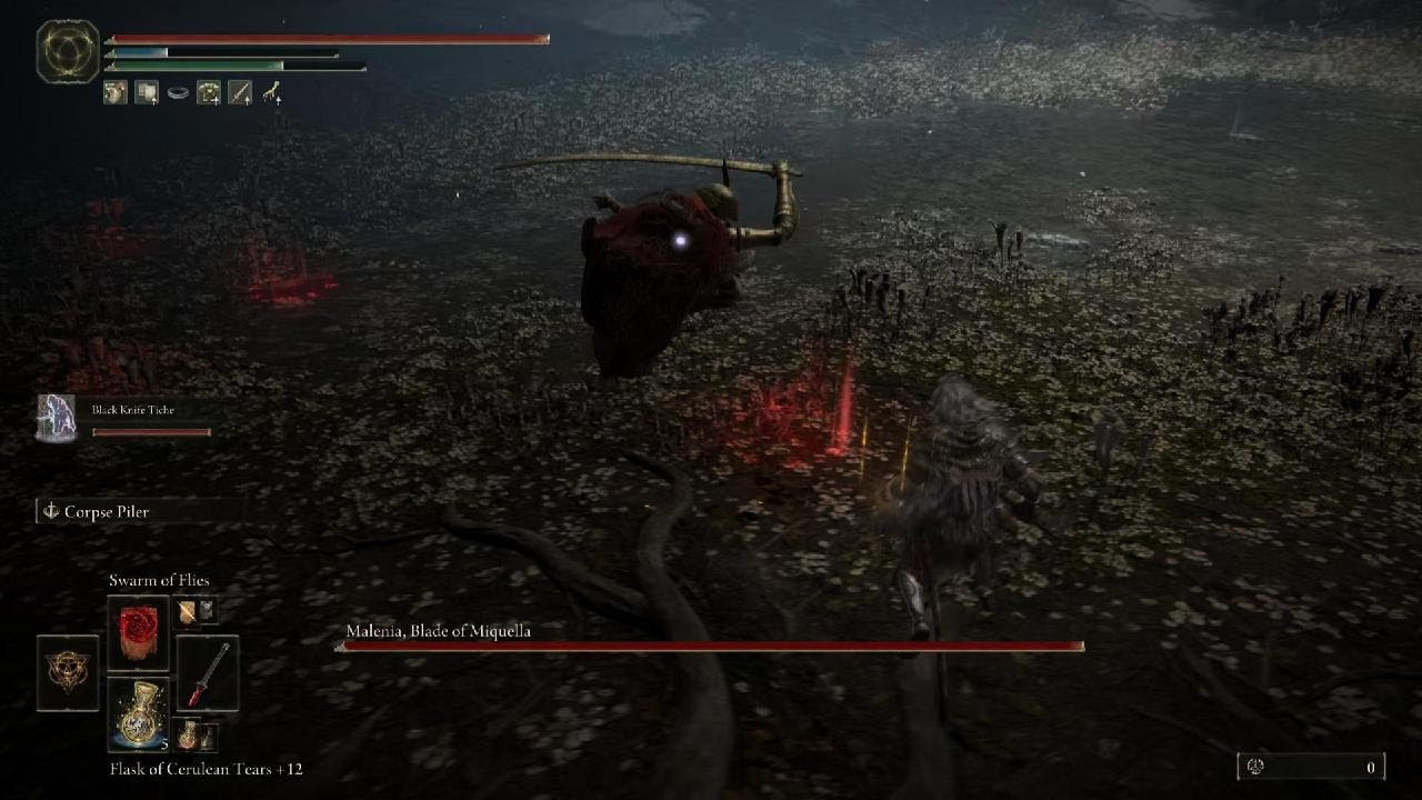 Malenia, after many attempts - ELDEN RING