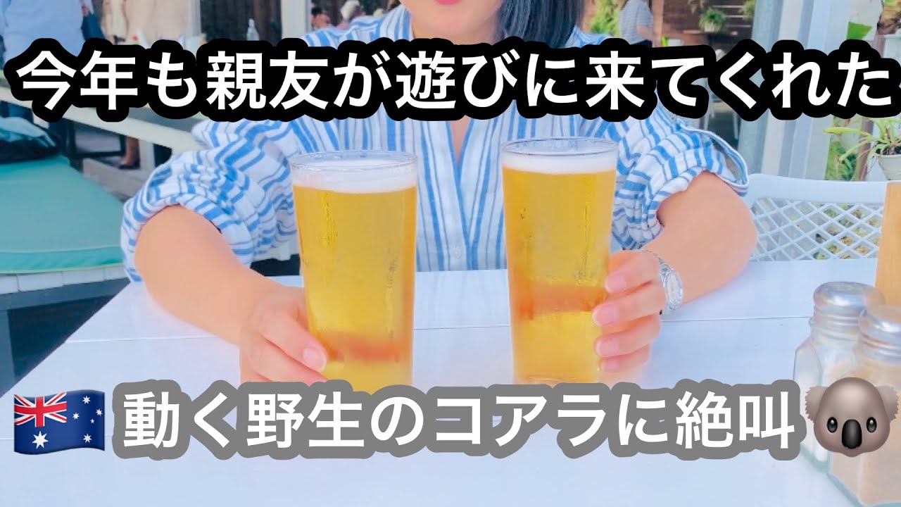【歩くコアラがかわいすぎて絶叫】日本の親友が、エラとはなとエマを、思いっ切りかわいがってくれた1週間🇦🇺ブリスベンシティでおいしい日本食を食べて、ジュゴンが来る海辺でおいしいビール🍻
