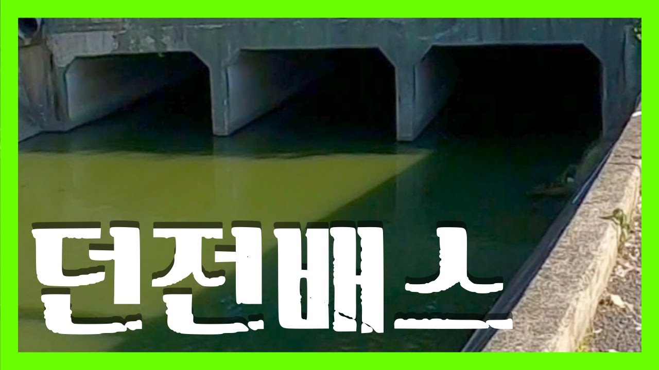 느면 나오네~ 배스 물량 오지게 쏟아지는 던전 포인트! ㅣ EP.91