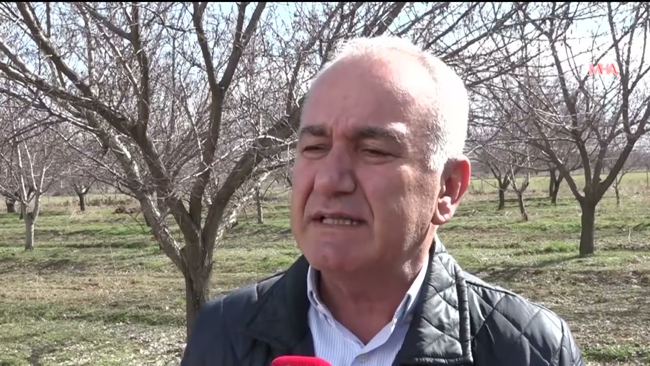 Malatya’da Kayısıda Rekolte Beklentisi 60-70 Bin Ton