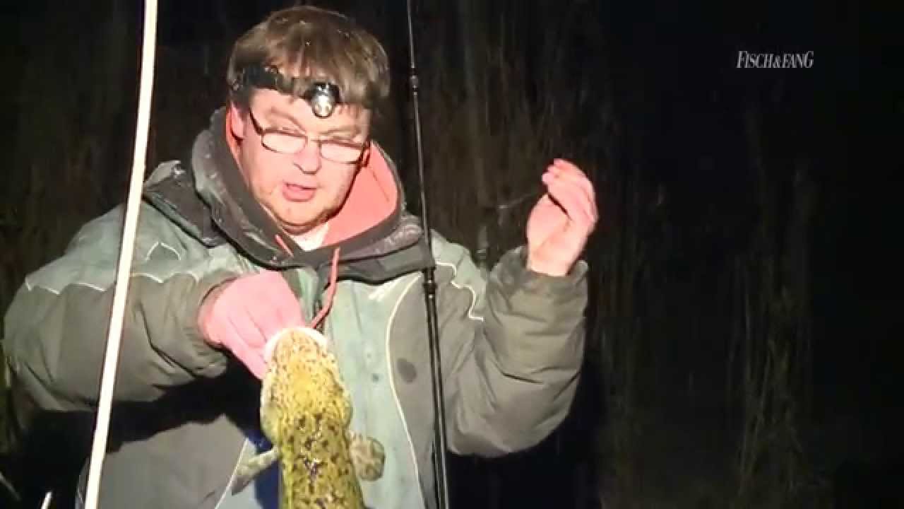 Quappenangeln an der Oder / 2. Tour - von Stephan Höferer