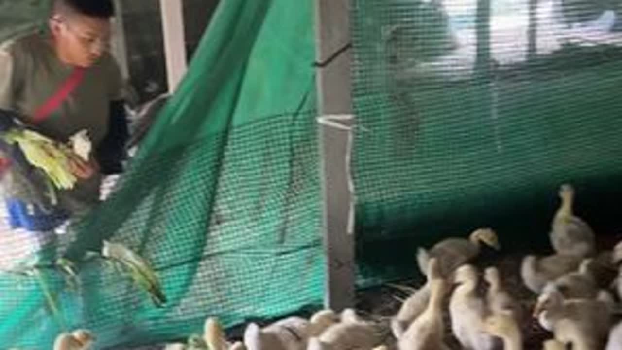 既然选择照顾长生我就会一直照顾下去，坚持自己的选择，无论前方的路有多难走#留住美好记忆
