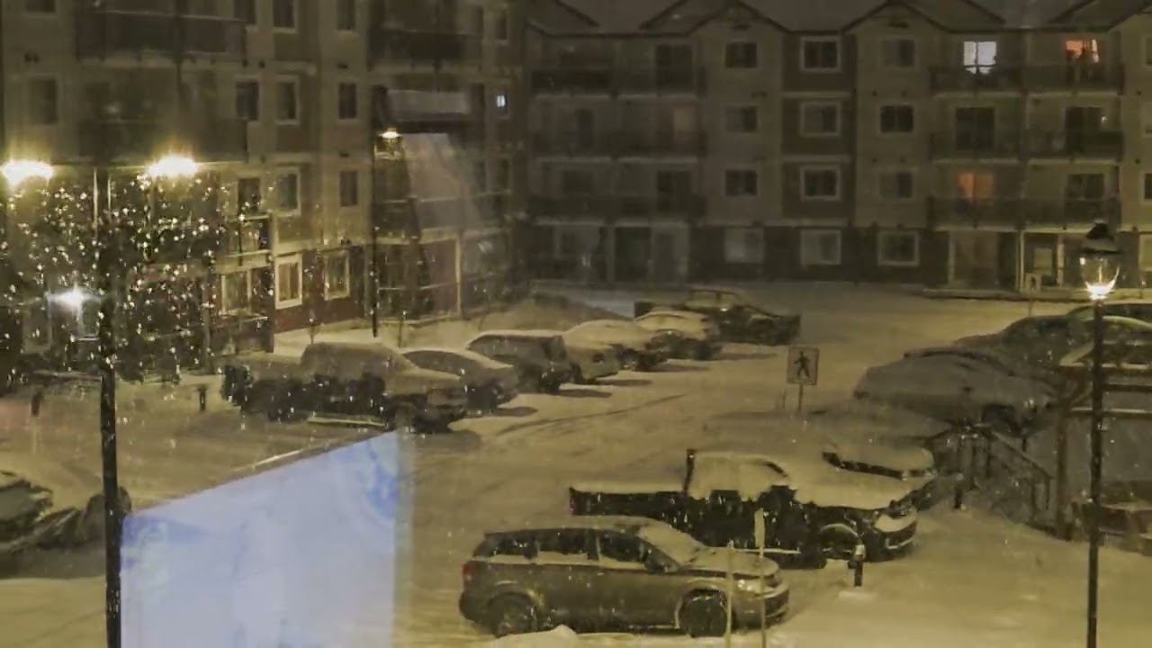 Heavy snowfall  in calgary ❄️ 