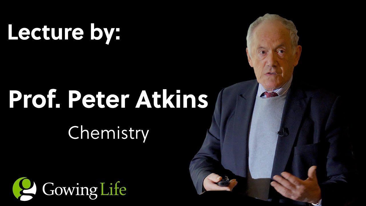 Peter Atkins  |   The Origins Of The Laws Of Nature