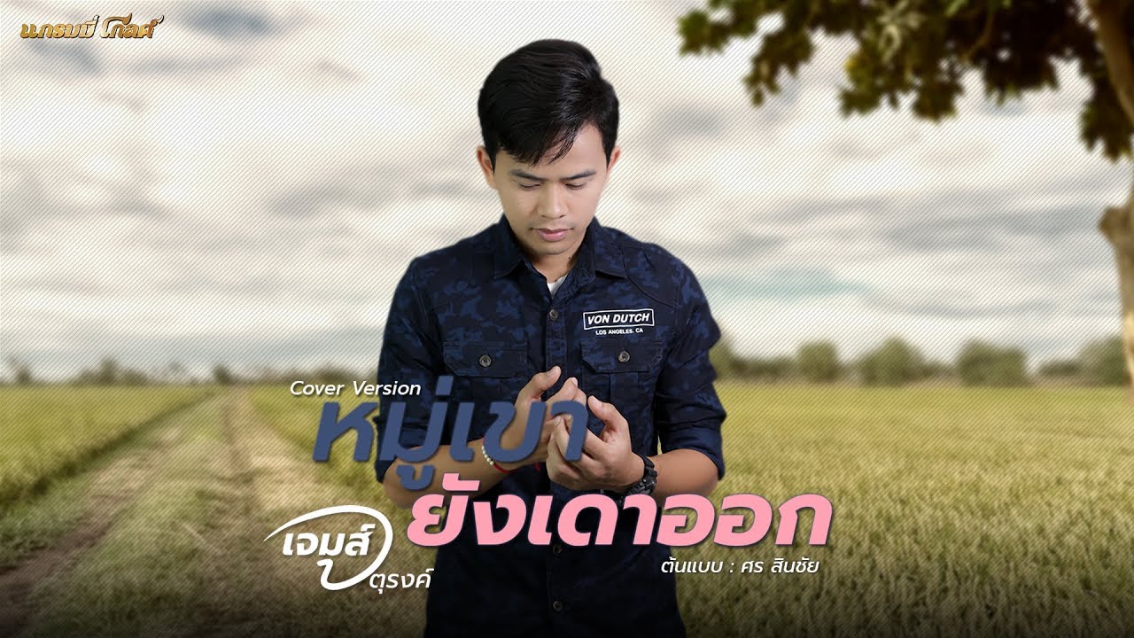 หมู่เขายังเดาออก - เจมส์ จตุรงค์ (COVER VERSION)
