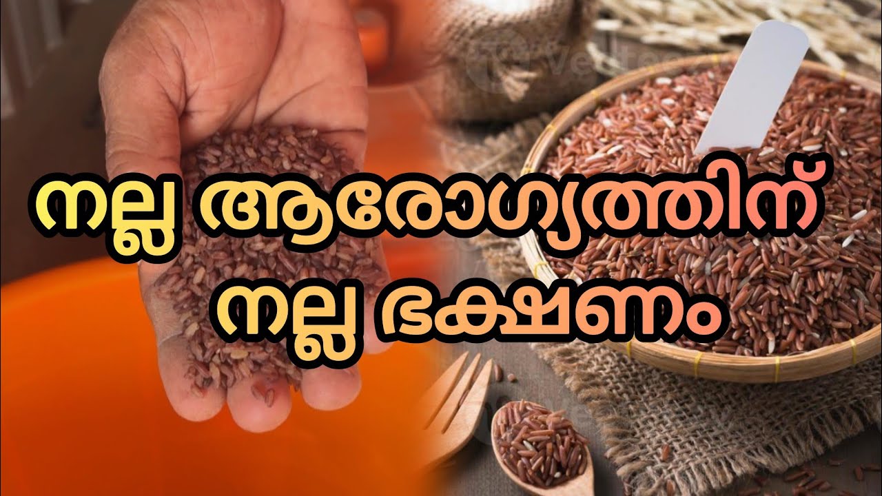 എല്ലാ സീസണിലും ജൈവഅരി കിട്ടുന്ന സ്ഥലം