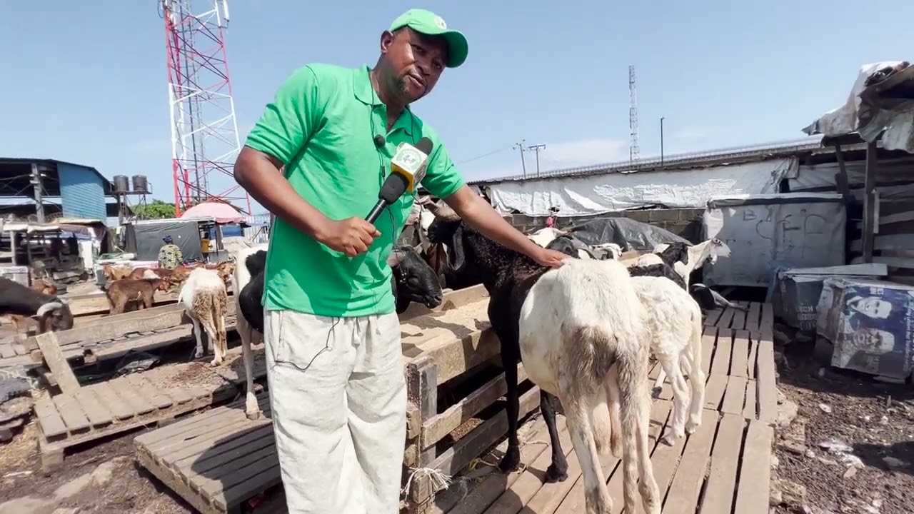 Ram Market, BOSE NLO  on Akomolede Nigeria Channel
