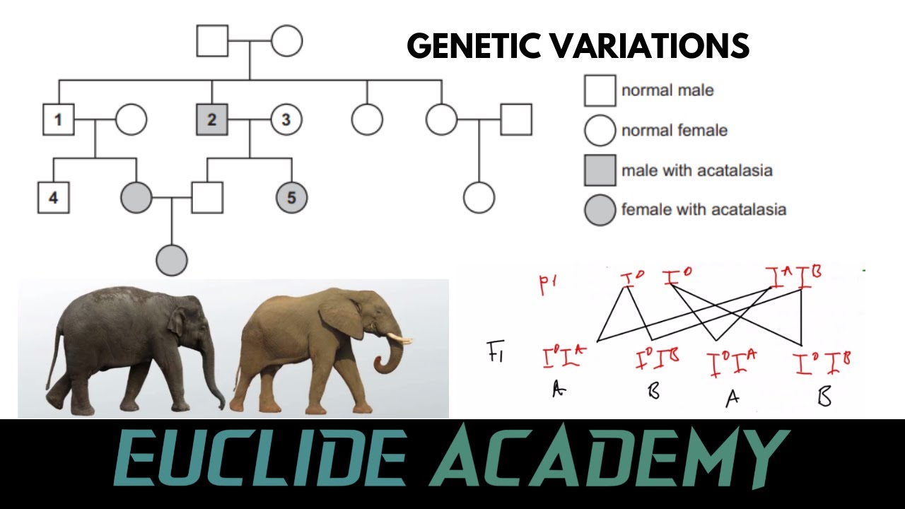 GENETICS VARIATIONS: Definition and Types.