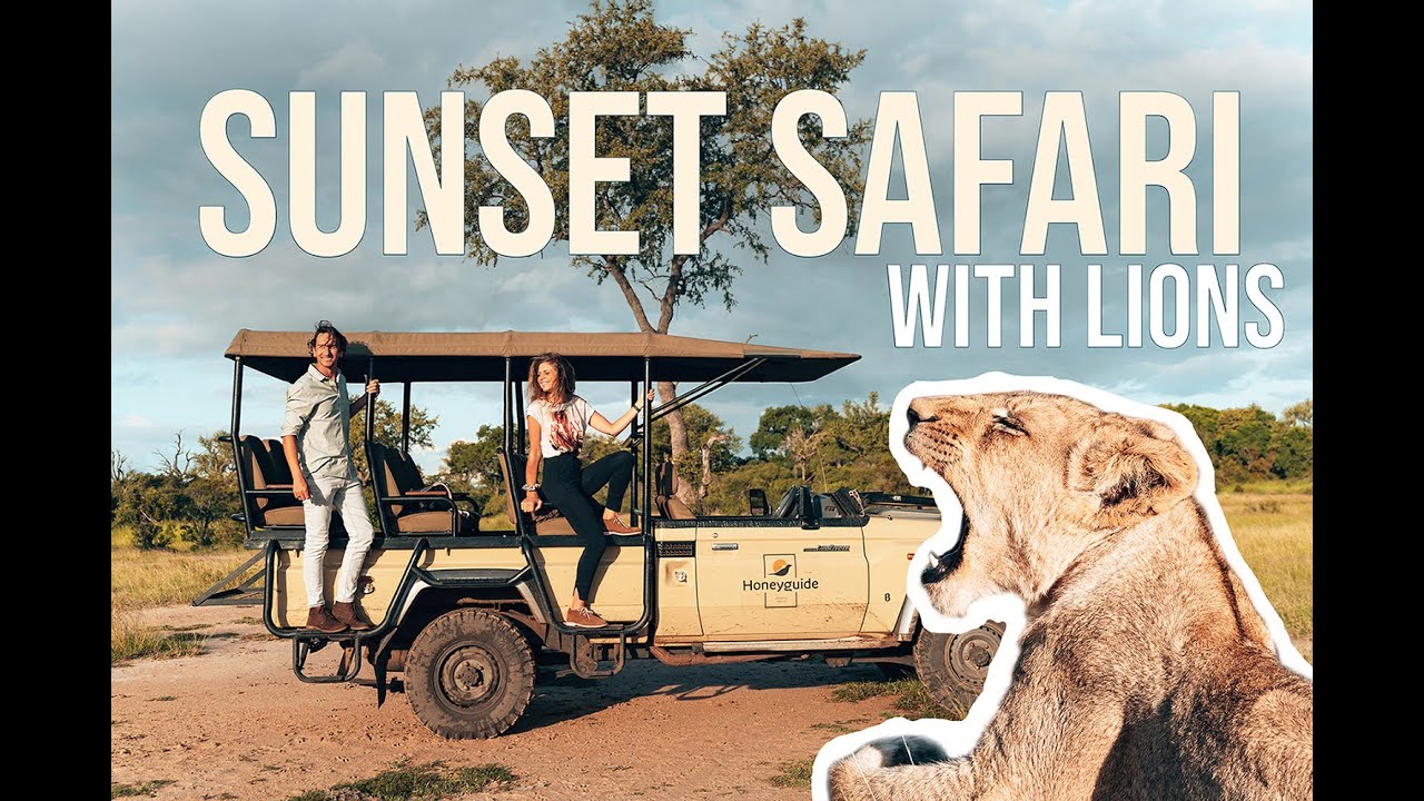 KRUGER PARK ADVENTURE | Honeyguide Luxury Tented Camp
