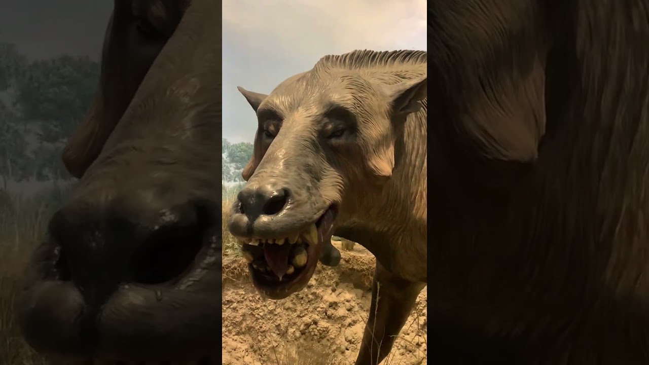 Impulsive visit to The Museum of Nature and Science, Denver, Colorado. 