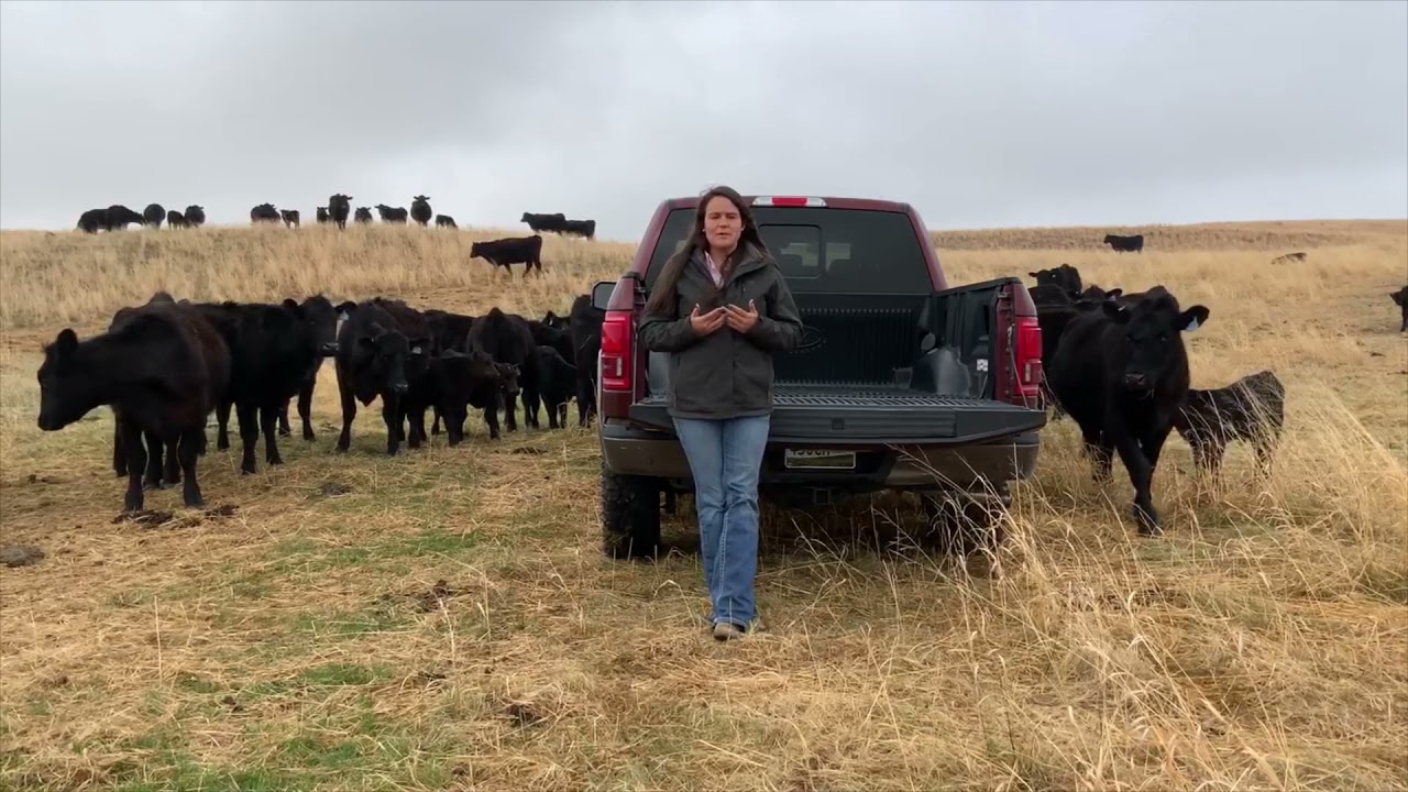 Nebraska Ranch Practicum