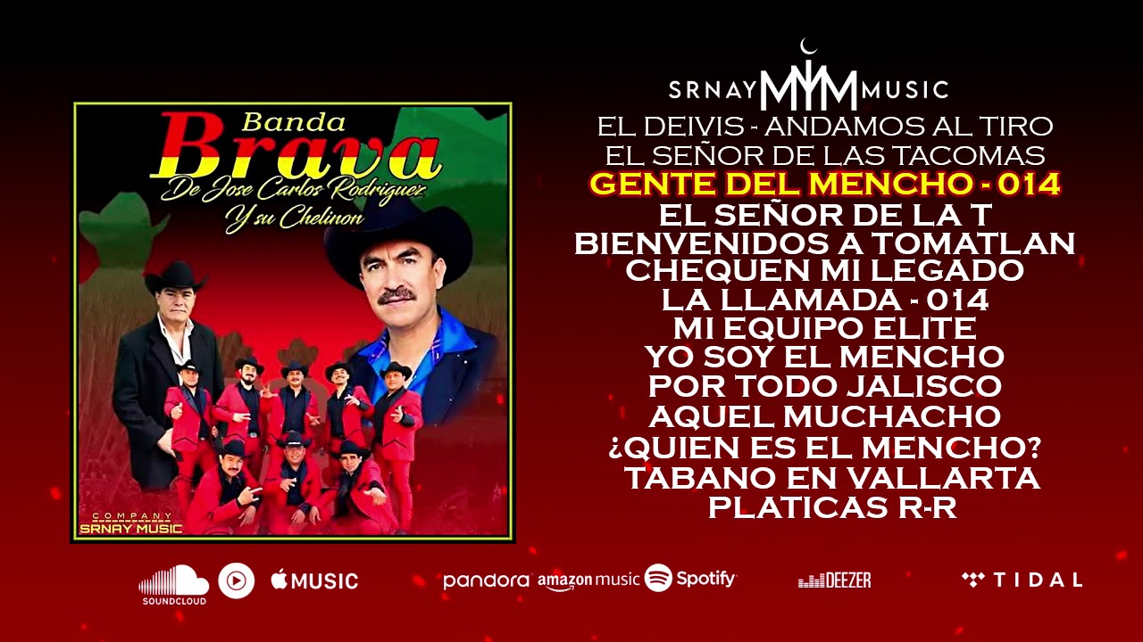 Por Todo Jalisco - Banda Brava Mix