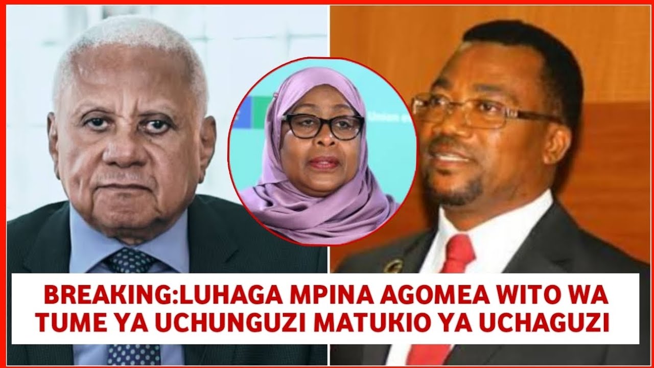 Luhaga mpina aigomea tume ya Rais samia 