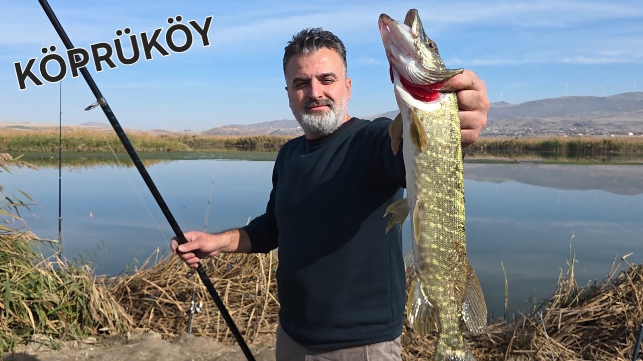 TURNA BALIĞI AVI KIZILIRMAK KÖPRÜKÖY ( KAMP VE DOĞA )
