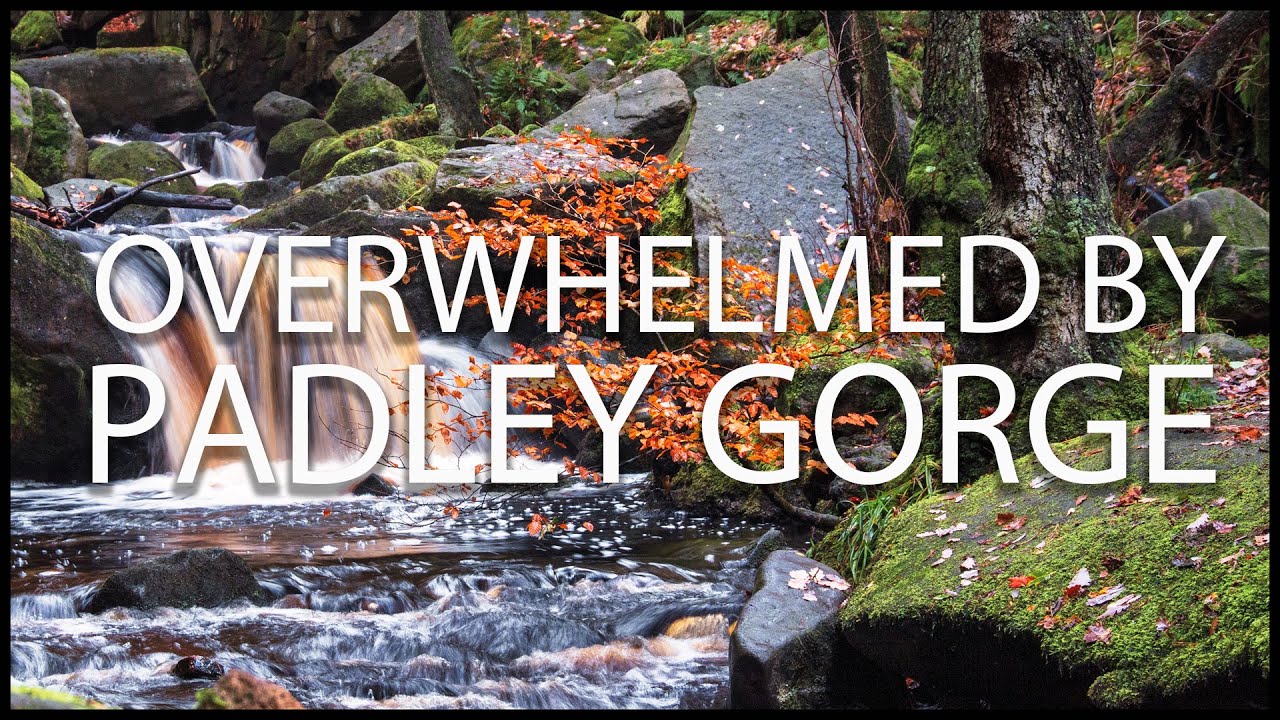 Overwhelmed by Padley Gorge in the Peak District