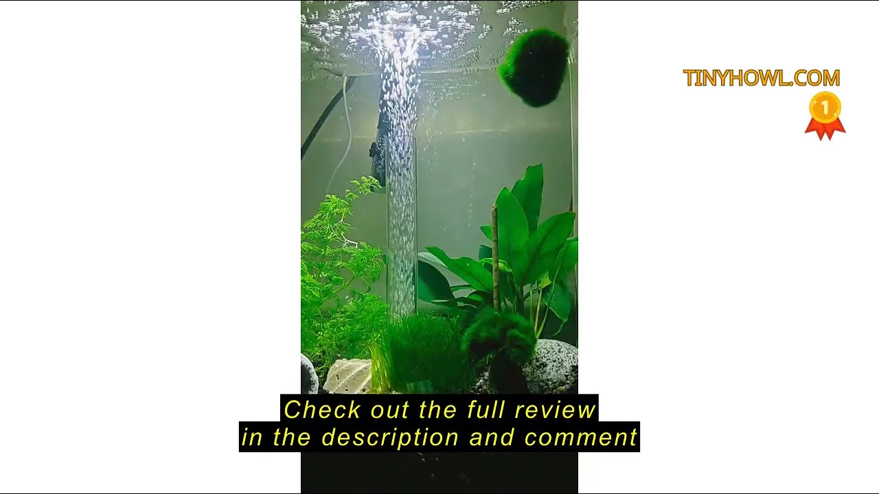 Review biOrb Life 15 Acrylic 4-Gallon Aquarium with White LED Lights Modern Compact Tank for Tableto