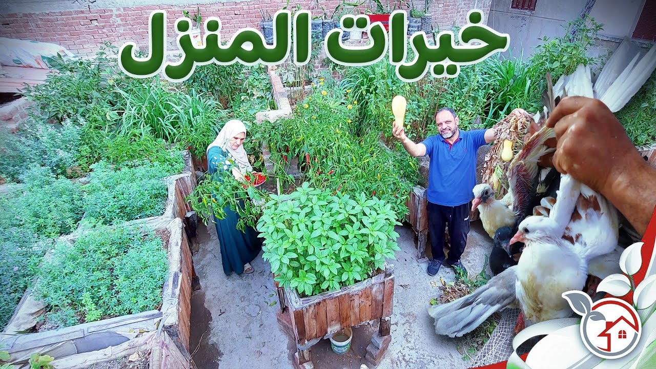 إعمل من بيتك مزرعة وإنتج نصف إحتياجات المنزل