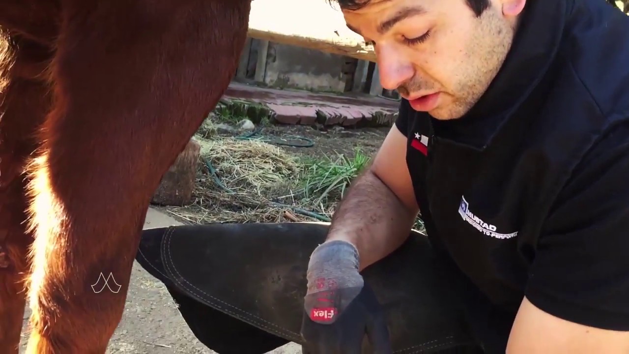 Consejos de Herrado - Sergio Beltran - Embajadores Mustad Chile