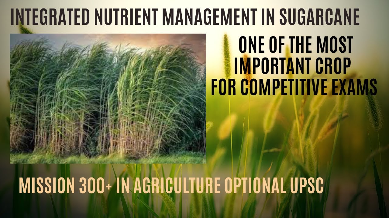 Integrated Nutrient Management  in sugarcane  UPSC agriculture optional #DSPpawan