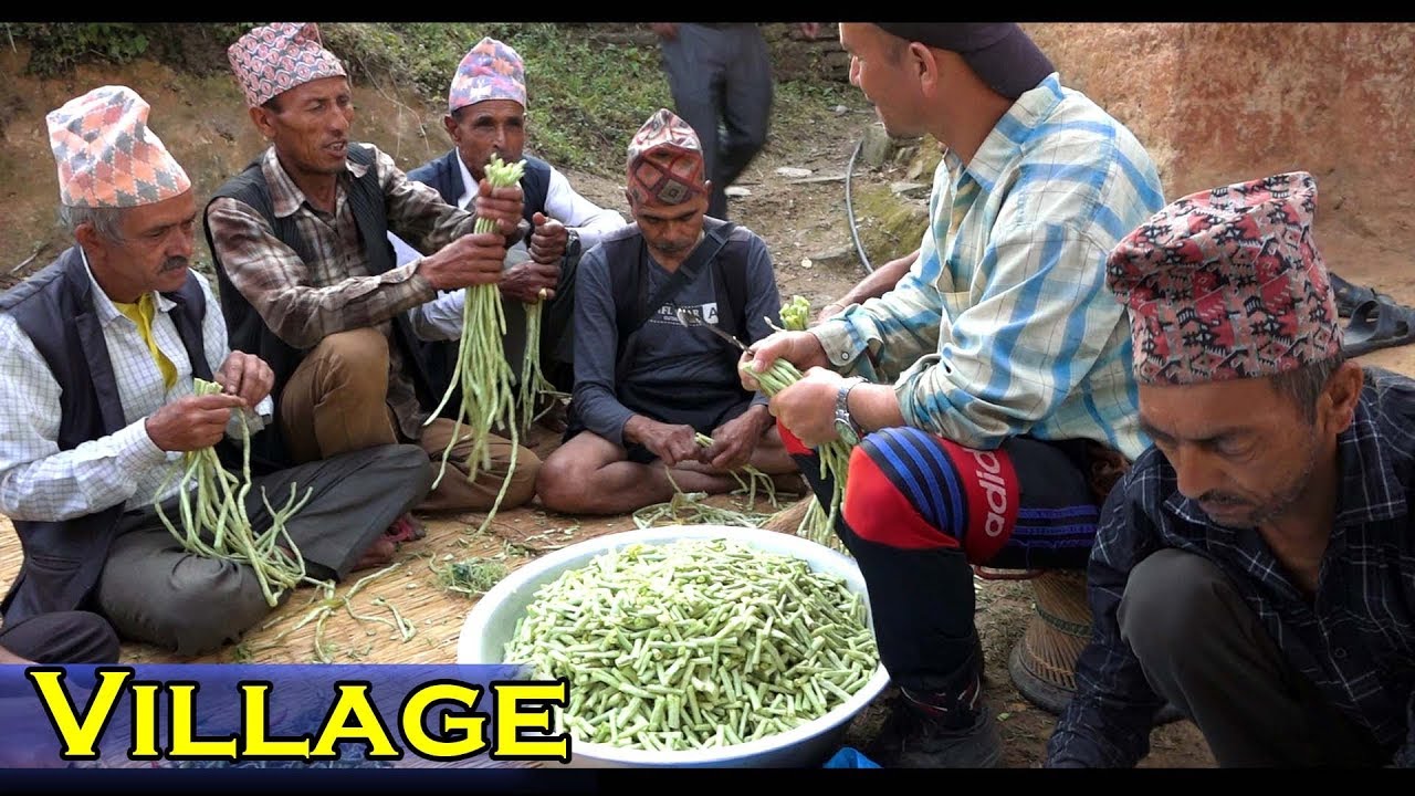 Culture and Rural Life || Nepal || सहयोगले भरिपुर्ण नेपाली समाज ||